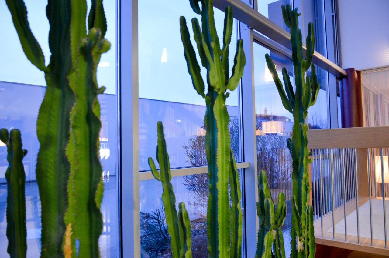 Hotel Roemerhof Tulln An Der Donau Екстериор снимка